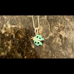 Tiffany & Co. Ladybug necklace.